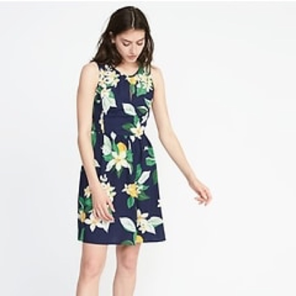 Floral Fit & Flare Sleeveless Dress